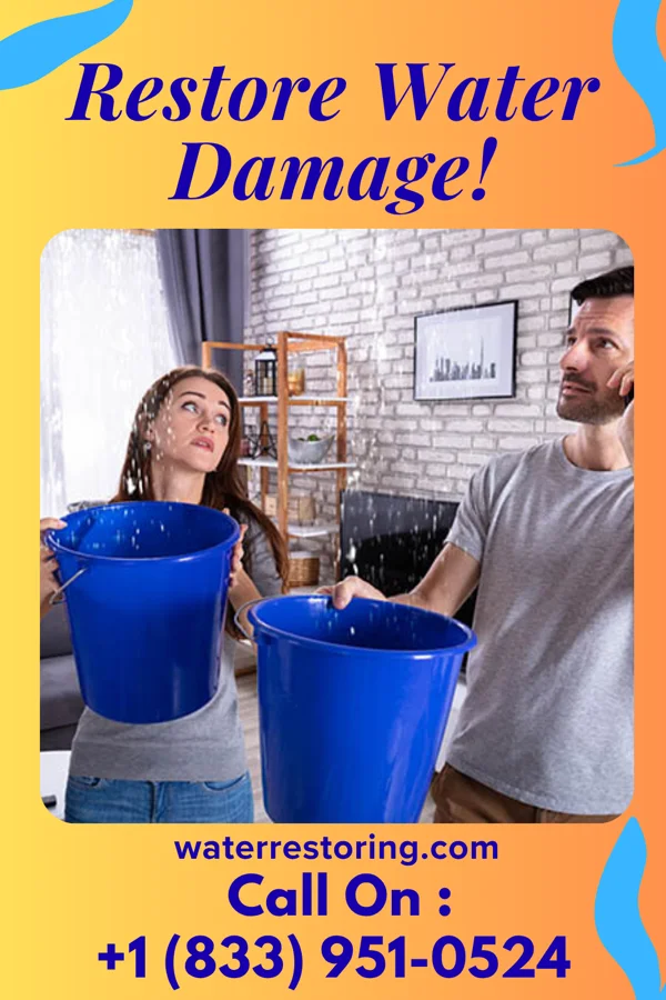 water restoration Expert Mitigation Team Paoli